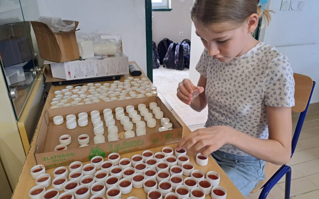 Projektni dan: Ljekovito i samoniklo bilje