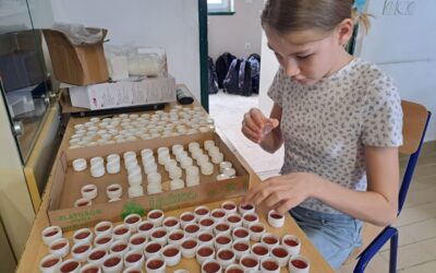 Projektni dan: Ljekovito i samoniklo bilje